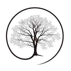 Root cause project CIC logo